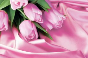 Фреска Нежные тюльпаны в шелку 3d