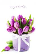 Фреска Букет фиолетовых тюльпанов