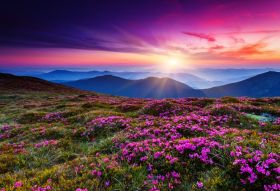 Фреска Цветущая долина в фиолетовом закате