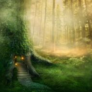 Фреска Солнечный сказочный лес