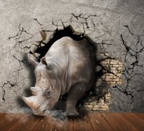 Фотообои носорог