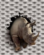 Фотообои Носорог в стене