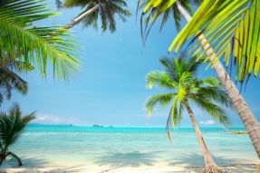 Фреска Пляж и пальмы