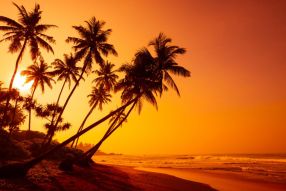 Фотообои Гавайский закат